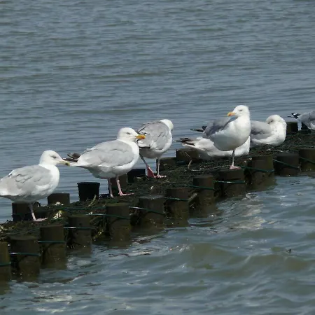Διαμέρισμα Osterdeich Horumersiel