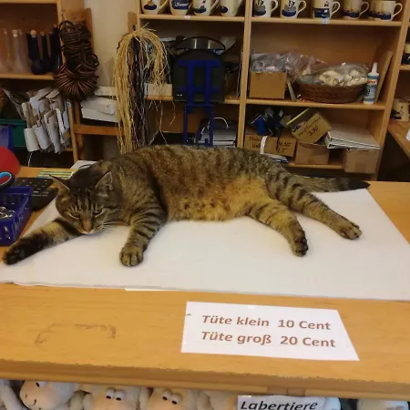 Osterdeich Horumersiel