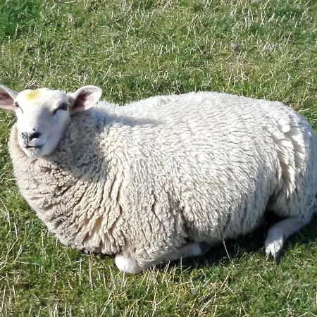 Διαμέρισμα Osterdeich